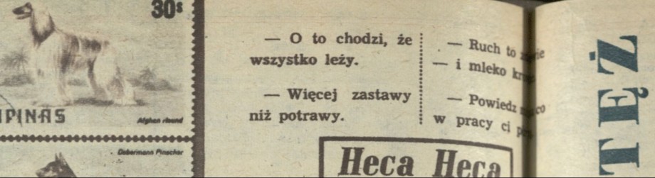 Wytęż wzrok