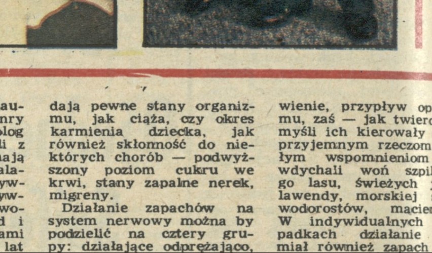 Wytęż wzrok