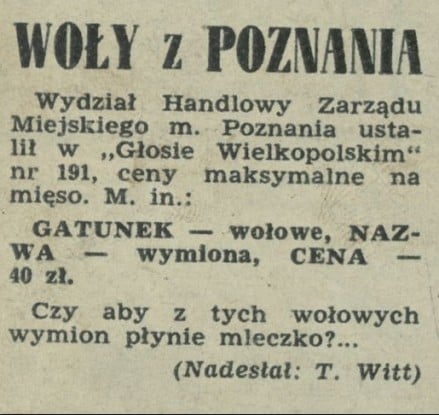 Woły z Poznania