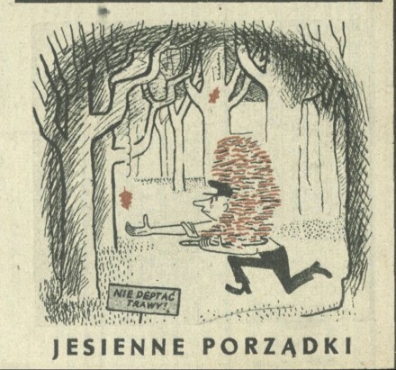 Jesienne porządki