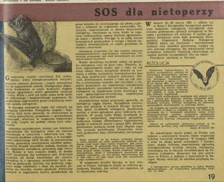 SOS dla nietoperzy