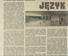 Język i polityka