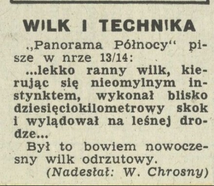 Wilk i technika