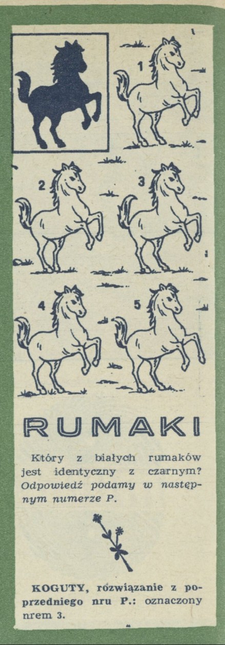 Rumaki
