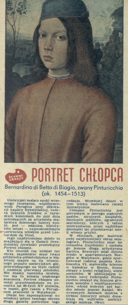 Portret chłopca - Bernardino di Betto di Biagio