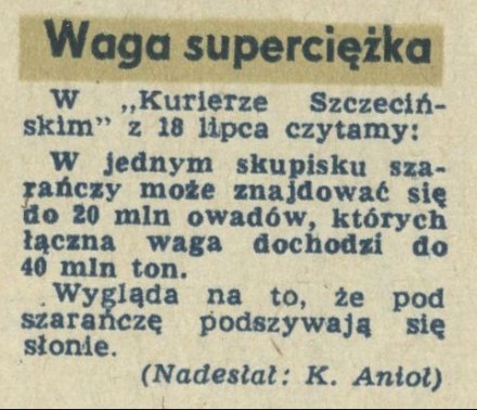 Waga superciężka