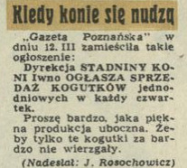 Kiedy konie się nudzą