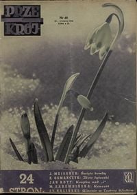 okładka numeru 48/1946