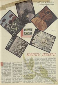 okładka numeru 1435/1972