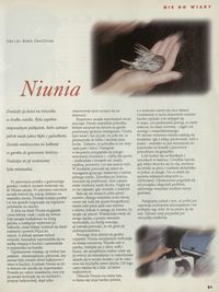 Niunia