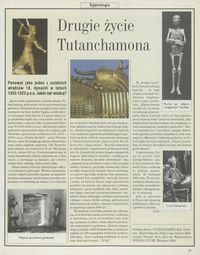 Drugie życie Tutanchamona