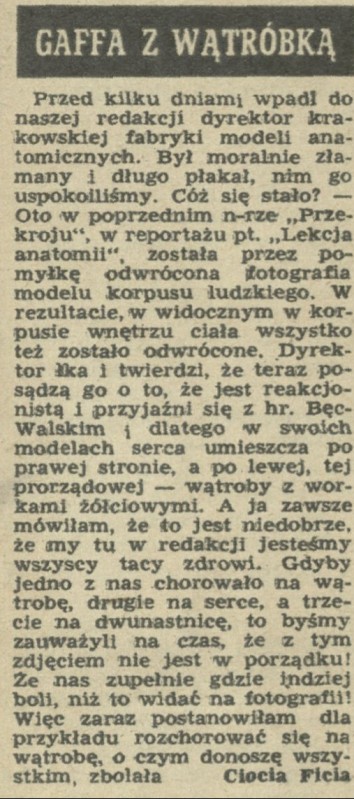 Obrazek