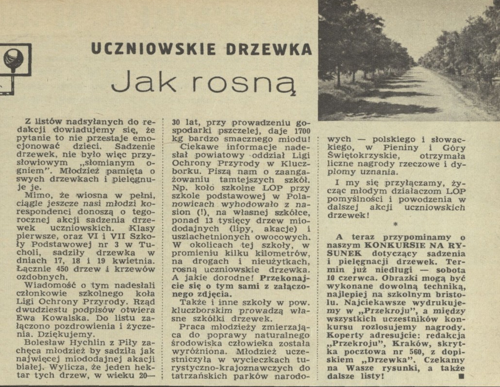 Obrazek