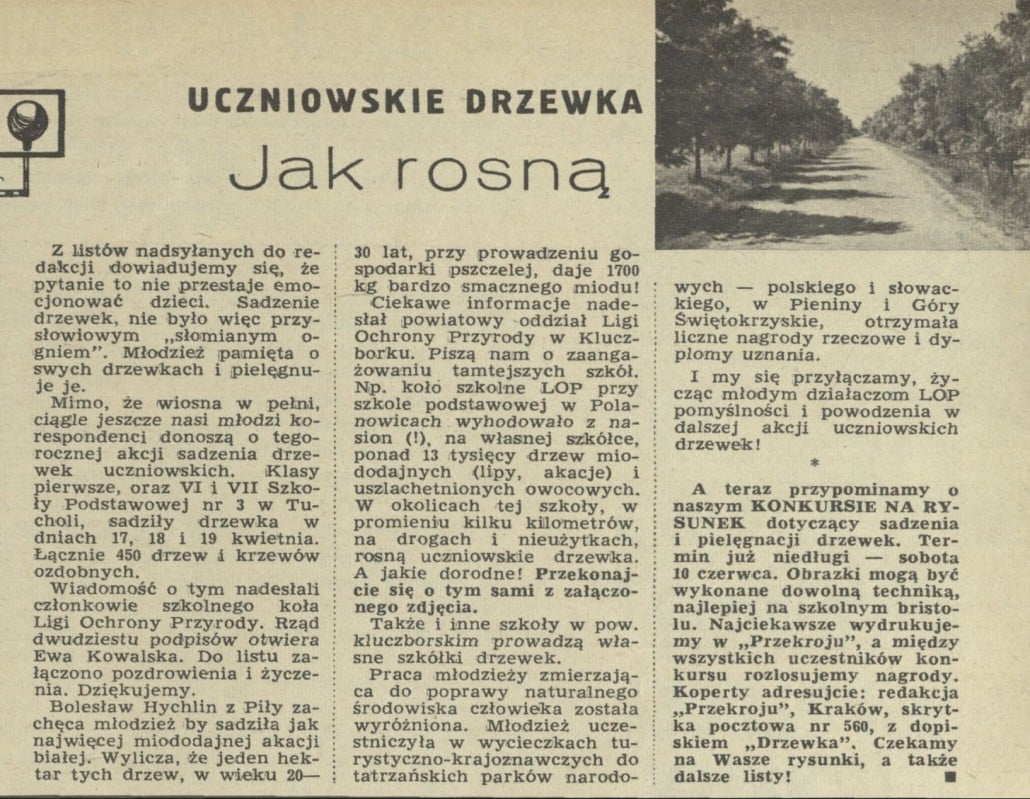 Obrazek