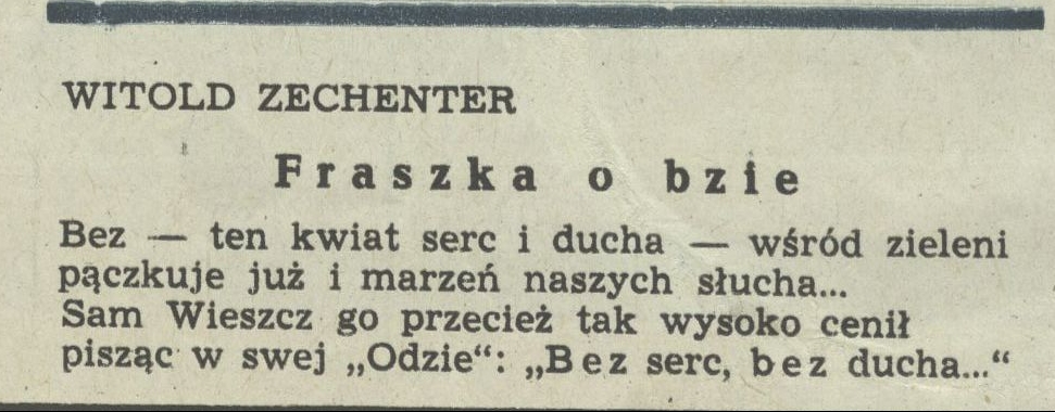 Obrazek