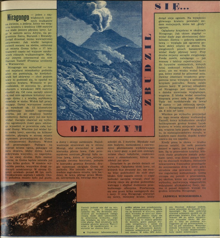 Obrazek