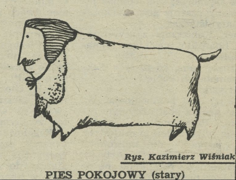 Pies Pokojowy Stary 30 September 1956 Archiwum