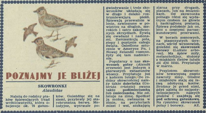 Obrazek