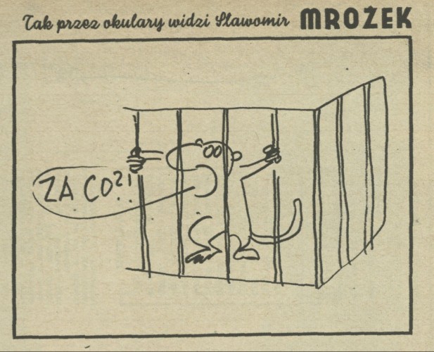 Tak przez okulary widzi Sławomir Mrożek