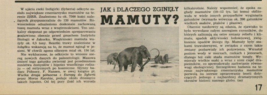 Dlaczego i jak zginęły mamuty?