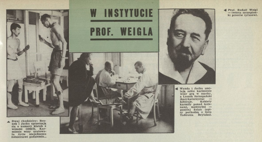 W instytucie prof. Weigla