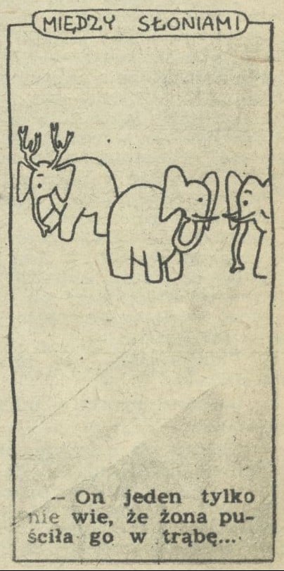 Między słoniami