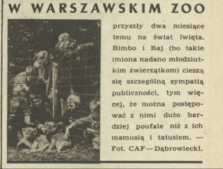 W warszawskim zoo