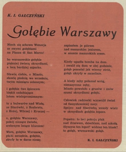 Gołębie Warszawy