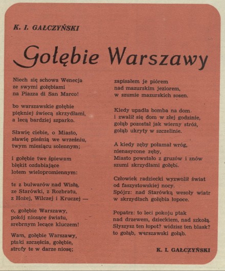 Gołębie Warszawy