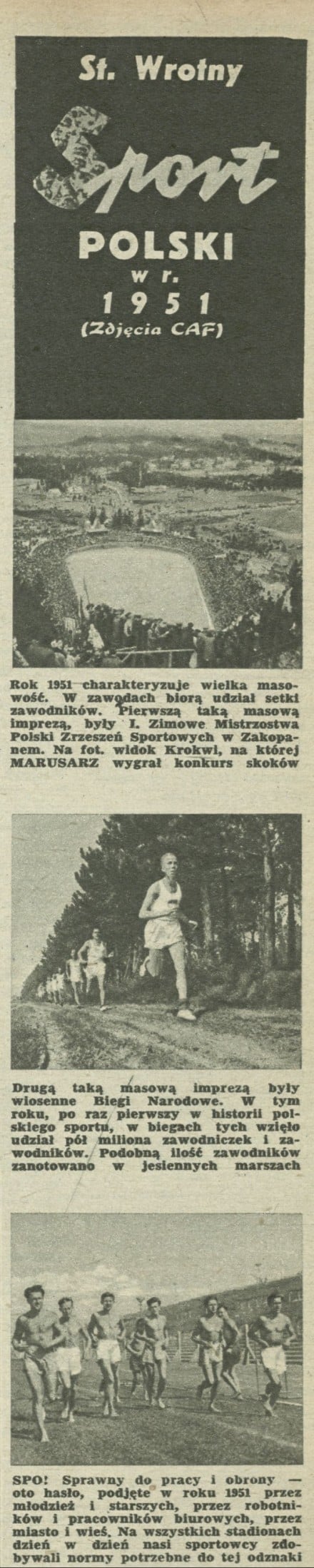 Sport polski w roku 1951 