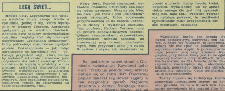 Lecą świetliki, lecą