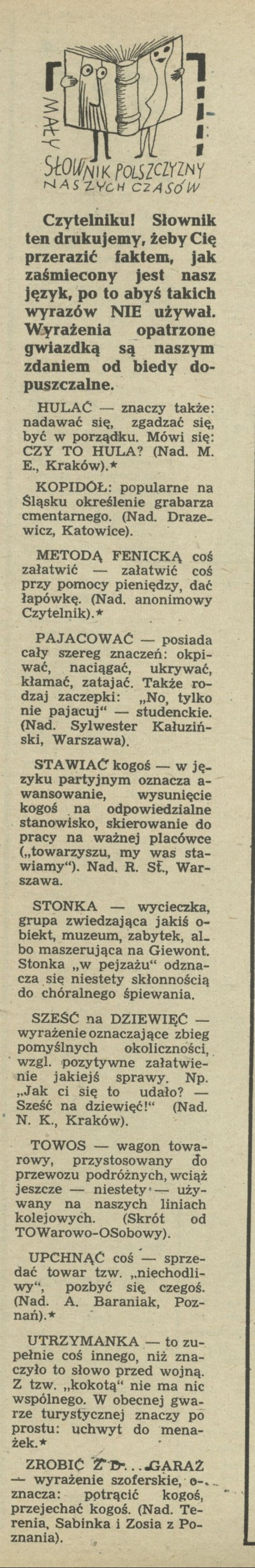 Mały słownik polszczyzny naszych czasów