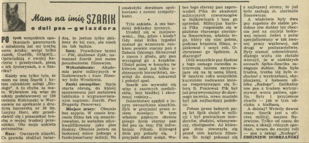 Mam na imię Szarik. O doli psa-gwiazdora