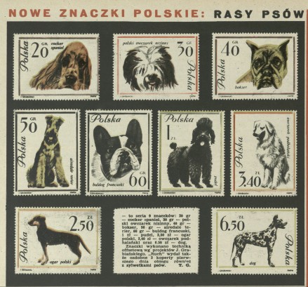 Nowe znaczki polskie: rasy psów
