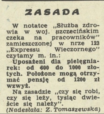 Zasada