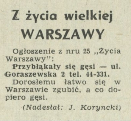 Z życia wielkiej Warszawy