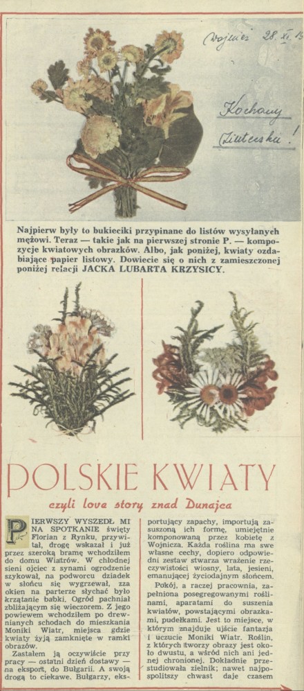 Polskie kwiaty czyli love story znad Dunajca
