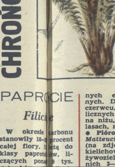Listy Tytusa Chałubińskiego o Janie Gąsienicy Krzeptowskim