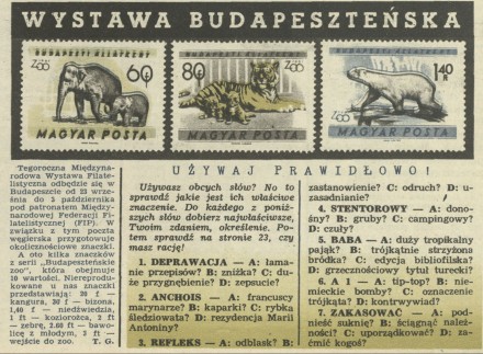 Wystawa budapesztańska