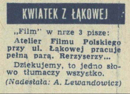 Kwiatek z łąkowej