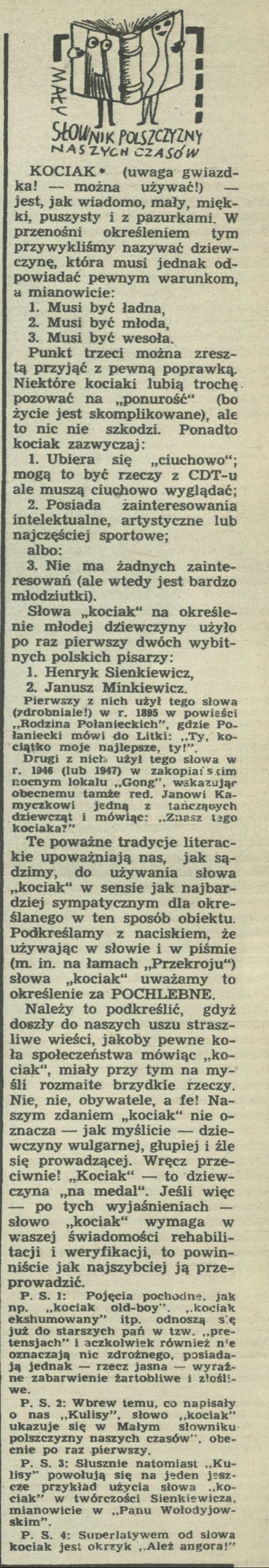 Mały słownik polszczyzny naszych czasów