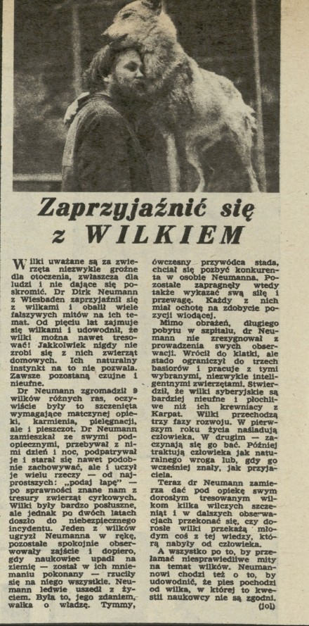 Zaprzyjaźnić się z wilkiem