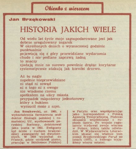 Historia jakich wiele