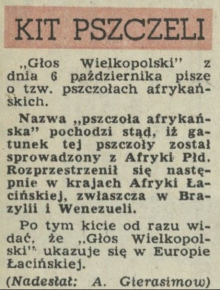 Kit pszczeli