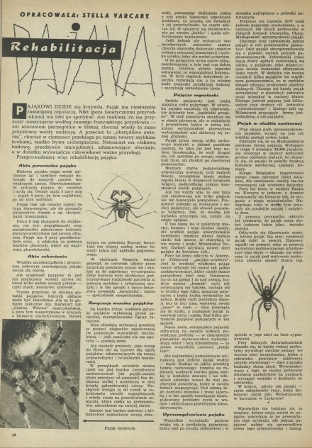 Rehabilitacja pająka