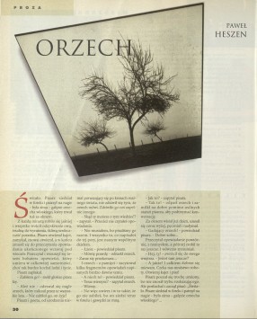 Orzech