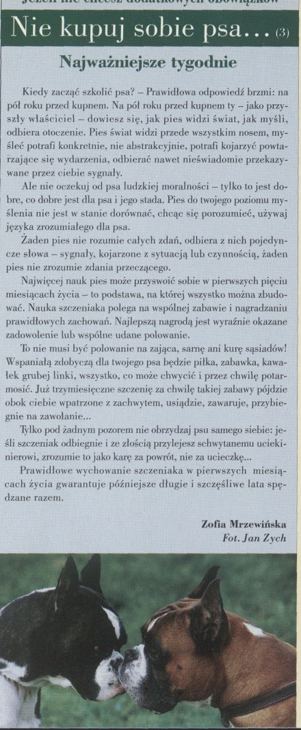 Jeżeli nie chcesz dodatkowych obowiązków, nie kupuj sobie psa... (3) Najważniejsze tygodnie