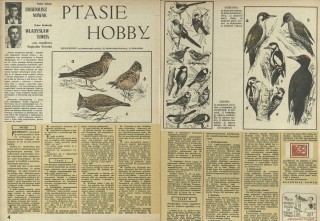 Ptasie hobby