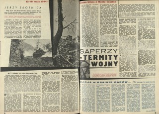 Saperzy - termity wojny