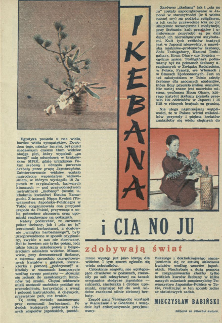 Ikebana i Cia No Ju zdobywają świat